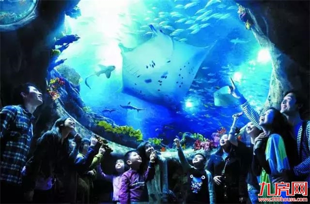 重磅！下个月，漳州人可坐高铁到香港！乘车流程发布！——九房网