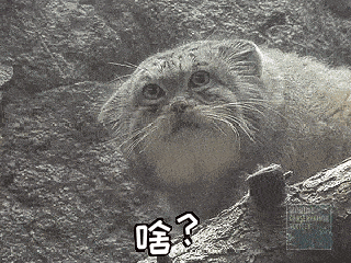 重磅！下个月，漳州人可坐高铁到香港！乘车流程发布！——九房网