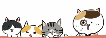 越来越快 | 漳州往厦门的这条通道，最新进展来了！——九房网