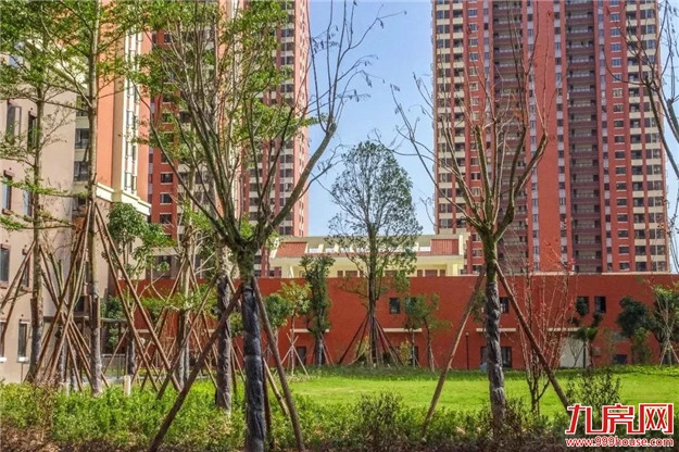 养眼时刻 | 一波美图带你看漳州最大的安置房——九房网