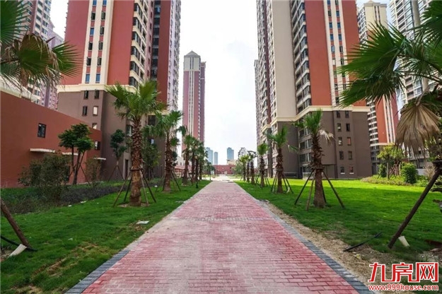 养眼时刻 | 一波美图带你看漳州最大的安置房——九房网