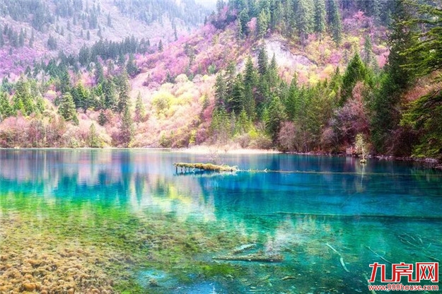 史无前例!全国314个景区集体降价(附价目表)——九房网 史无前例!全国314个景区集体降价(附价目表)——九房网