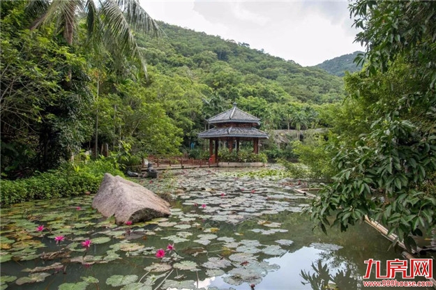 史无前例!全国314个景区集体降价(附价目表)——九房网 史无前例!全国314个景区集体降价(附价目表)——九房网