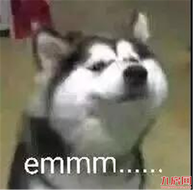 报个天气 | 狂跌至15℃!台风胚胎又生成!这个国庆老天爷安分吗?——九房网 报个天气 | 狂跌至15℃!台风胚胎又生成!这个国庆老天爷安分吗?——九房网