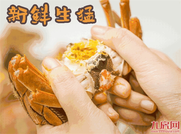 不用出国打卡就可免费吃到的环球美食!这次来漳州了!——九房网 不用出国打卡就可免费吃到的环球美食!这次来漳州了!——九房网