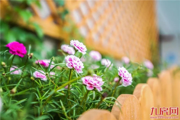 把“动车站”搬进幼儿园?!看看龙文这所新投用的公办幼儿园....——九房网 把“动车站”搬进幼儿园?!看看龙文这所新投用的公办幼儿园....——九房网