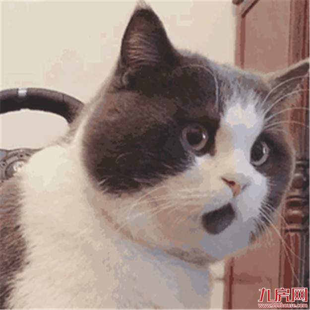 @老司机 | 漳州首个“左转弯待转区”在这里!你造吗?……——九房网 @老司机 | 漳州首个“左转弯待转区”在这里!你造吗?……——九房网