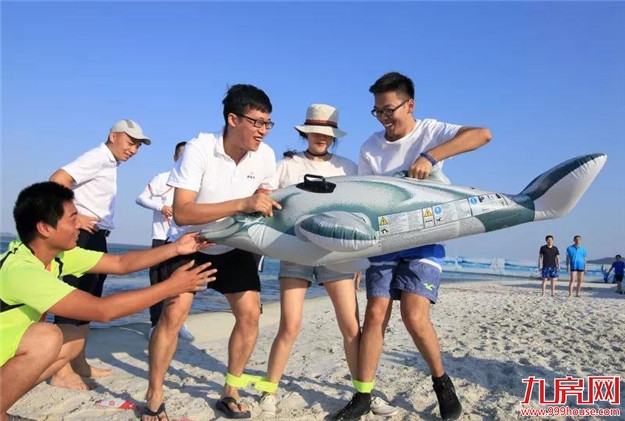 一桥牵两岸:那头是厦门湾 这头也是厦门湾——九房网 一桥牵两岸:那头是厦门湾 这头也是厦门湾——九房网