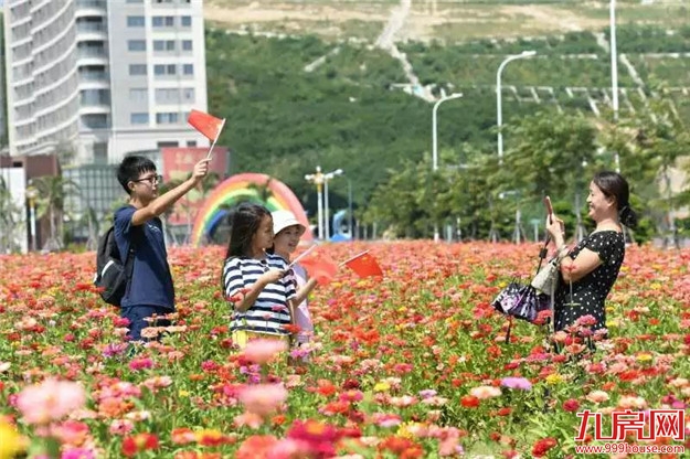 一桥牵两岸:那头是厦门湾 这头也是厦门湾——九房网 一桥牵两岸:那头是厦门湾 这头也是厦门湾——九房网