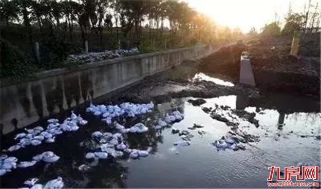 @漳州人 快来举报身边的黑臭水体!——九房网 @漳州人 快来举报身边的黑臭水体!——九房网