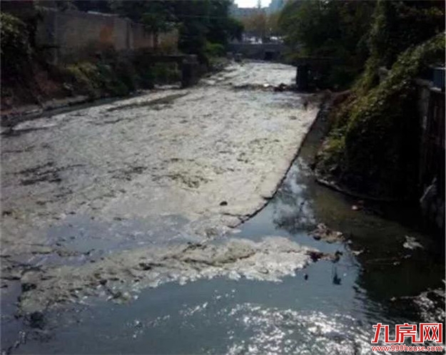 @漳州人 快来举报身边的黑臭水体!——九房网 @漳州人 快来举报身边的黑臭水体!——九房网