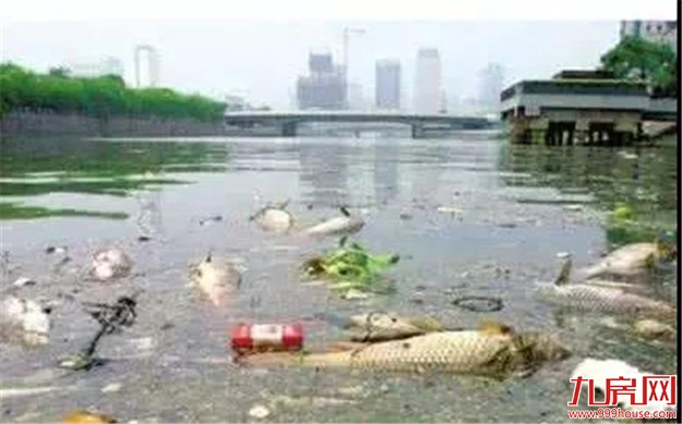 @漳州人 快来举报身边的黑臭水体!——九房网 @漳州人 快来举报身边的黑臭水体!——九房网