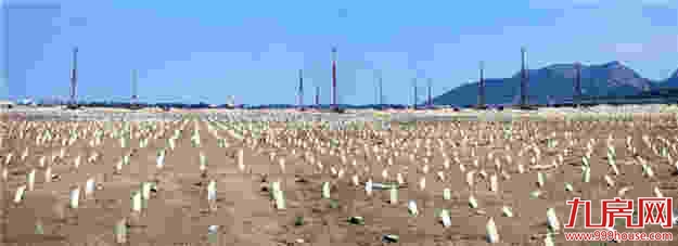 漳州市第三季度经济形势分析会召开——九房网 漳州市第三季度经济形势分析会召开——九房网