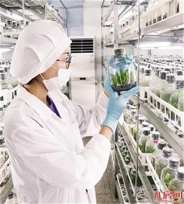 前三季度漳州经济社会“稳”字当头——九房网 前三季度漳州经济社会“稳”字当头——九房网