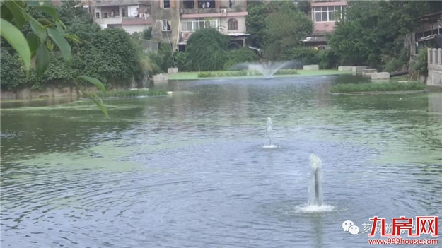 【宜居芗城】塔后：一池清水喜人心——九房网