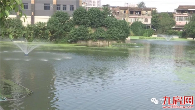 【宜居芗城】塔后：一池清水喜人心——九房网