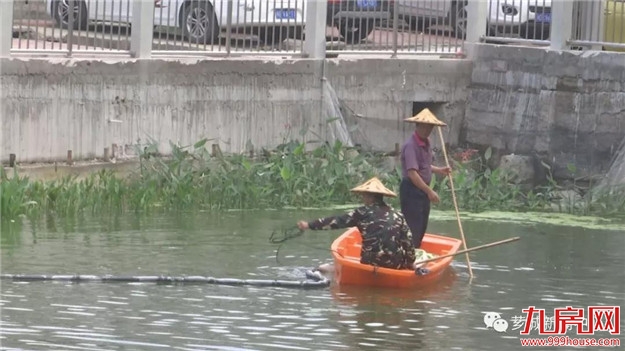 【宜居芗城】塔后：一池清水喜人心——九房网