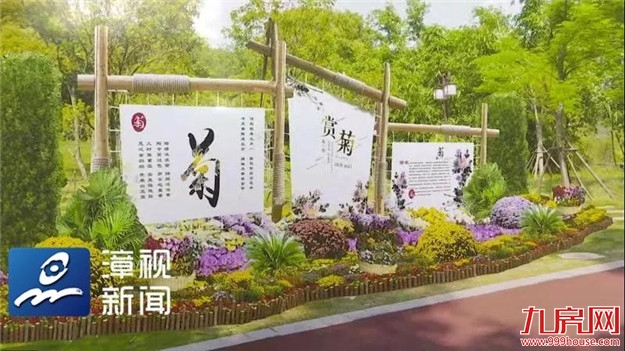 再过10天 | 约上TA，打卡芝山公园！——九房网