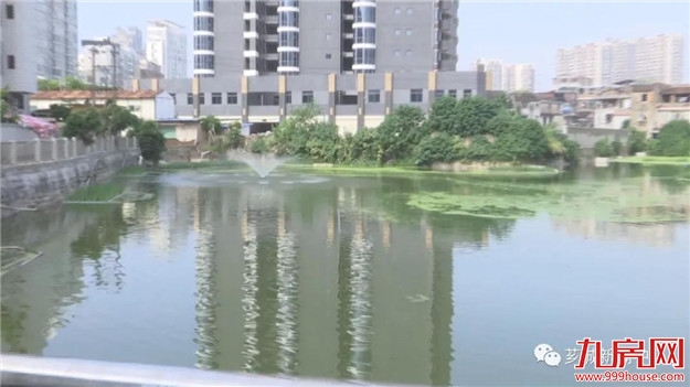 【宜居芗城】塔后：一池清水喜人心——九房网
