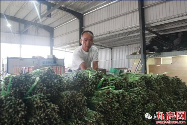 芗城：培育特色产业，助力乡村振兴！——九房网