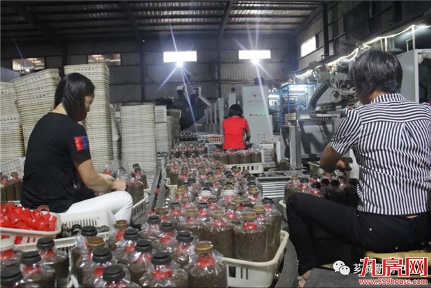 芗城：培育特色产业，助力乡村振兴！——九房网