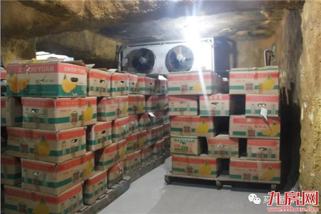 芗城：培育特色产业，助力乡村振兴！——九房网