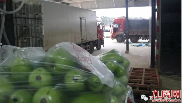 芗城：培育特色产业，助力乡村振兴！——九房网