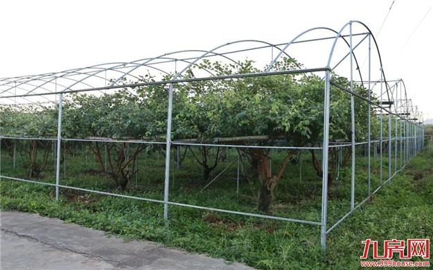 厦门房产,厦门房地产,厦门新房,九房网,厦门房产 厦门房产,厦门房地产,厦门新房,九房网,厦门房产