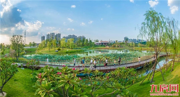 探索“生态+”模式 延展“生态+”效益|“五湖四海”迎宾朋 花样漳州等您来——九房网