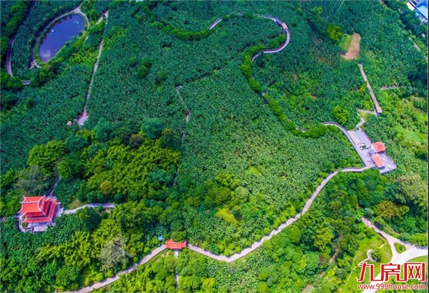 探索“生态+”模式 延展“生态+”效益|“五湖四海”迎宾朋 花样漳州等您来——九房网