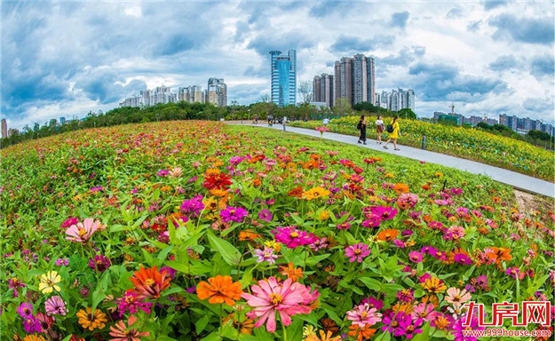 探索“生态+”模式 延展“生态+”效益|“五湖四海”迎宾朋 花样漳州等您来——九房网