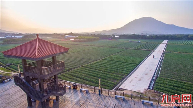 探索“生态+”模式 延展“生态+”效益|“五湖四海”迎宾朋 花样漳州等您来——九房网