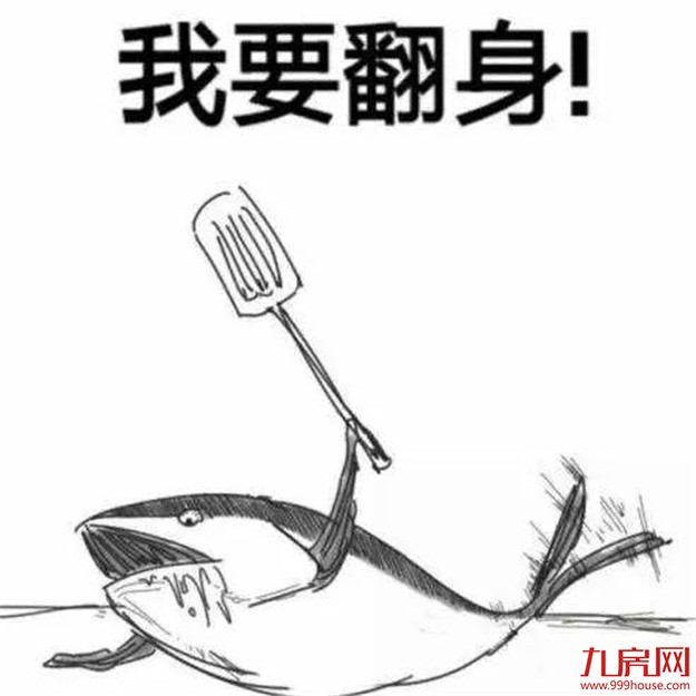 你好,11月 | 这些好消息扑面而来——九房网 你好,11月 | 这些好消息扑面而来——九房网