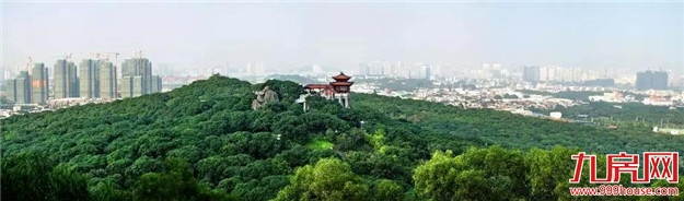 探索“生态+”模式 延展“生态+”效益|“五湖四海”迎宾朋 花样漳州等您来——九房网