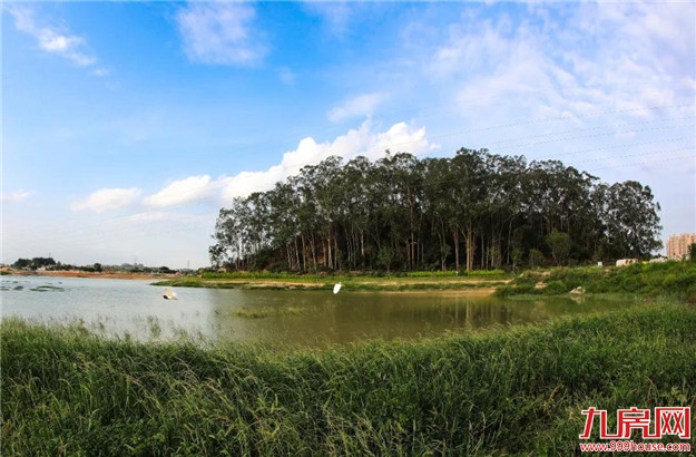 探索“生态+”模式 延展“生态+”效益|“五湖四海”迎宾朋 花样漳州等您来——九房网