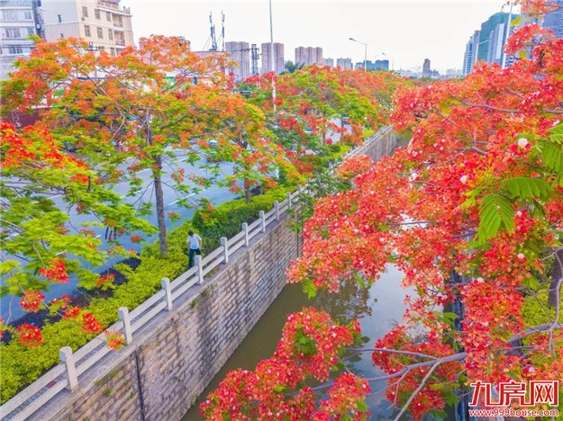 探索“生态+”模式 延展“生态+”效益|“五湖四海”迎宾朋 花样漳州等您来——九房网