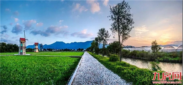 云霄佳洲岛四十年变迁|从瓜果上市到企业上市——九房网