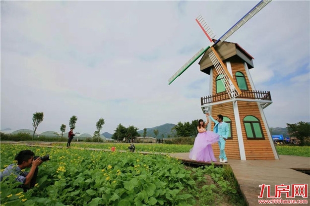 云霄佳洲岛四十年变迁|从瓜果上市到企业上市——九房网