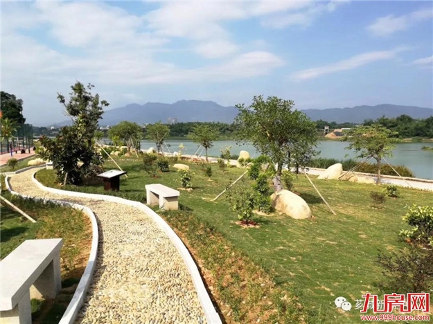 乡村振兴正当时 奋发有为立潮头——九房网