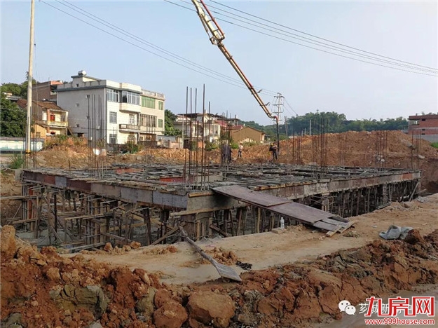 乡村振兴正当时 奋发有为立潮头——九房网