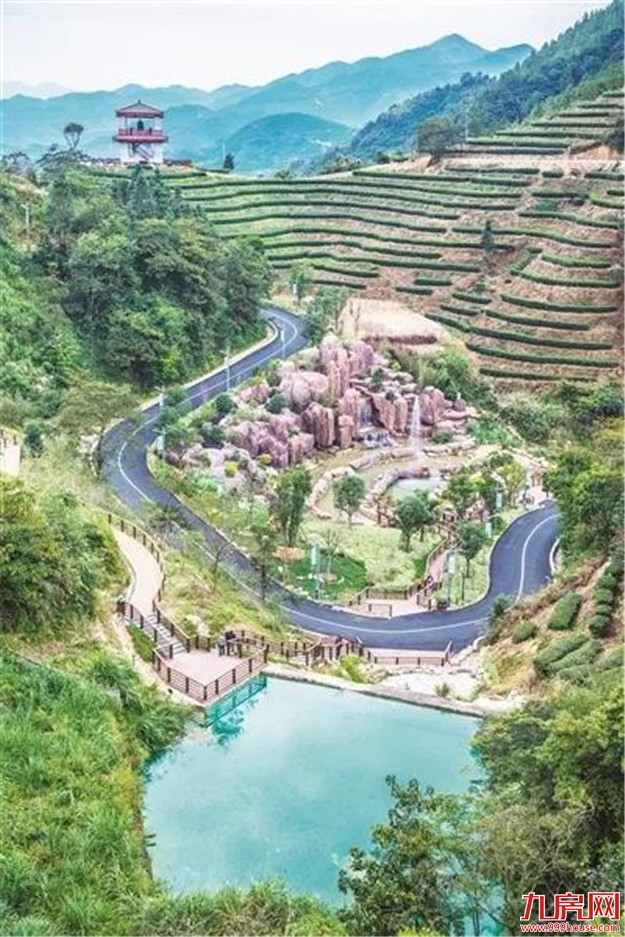 檀云坤到平和县调研精准脱贫和乡村振兴——九房网 檀云坤到平和县调研精准脱贫和乡村振兴——九房网