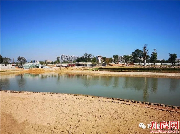 【西部游】西院湖2.0版即将上线！“水下森林”和“枕月桥”了解一下！——九房网