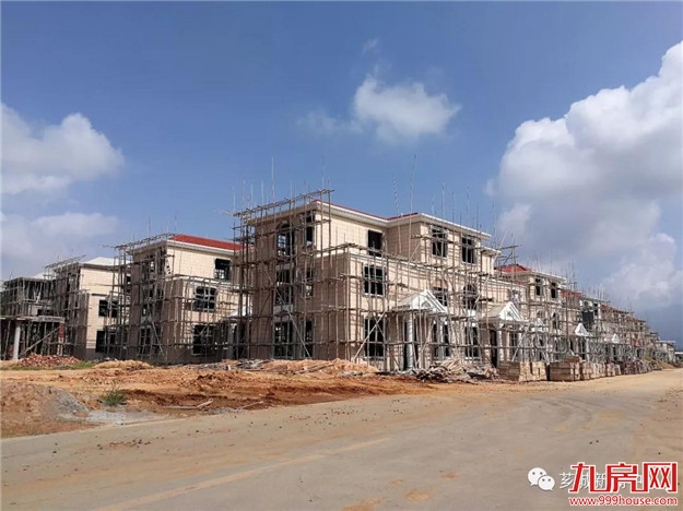 乡村振兴正当时 奋发有为立潮头——九房网