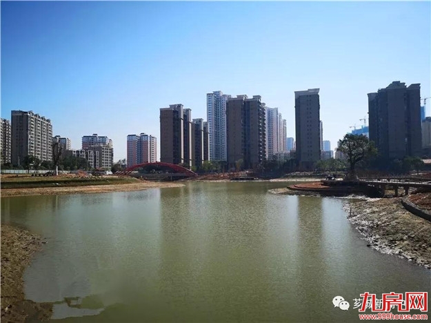 【西部游】西院湖2.0版即将上线！“水下森林”和“枕月桥”了解一下！——九房网