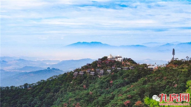 海豚、鲨鱼、海狮……漳州超大型海洋馆开馆了！——九房网