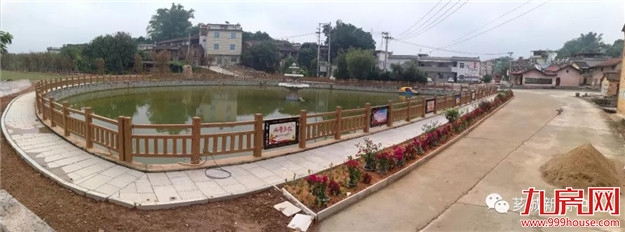 乡村振兴正当时 奋发有为立潮头——九房网