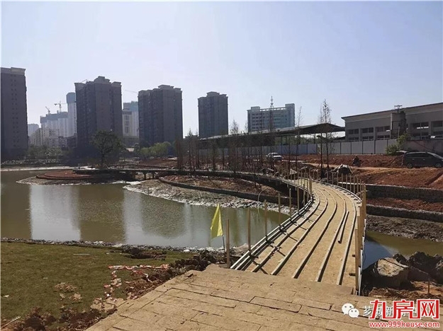 【西部游】西院湖2.0版即将上线！“水下森林”和“枕月桥”了解一下！——九房网