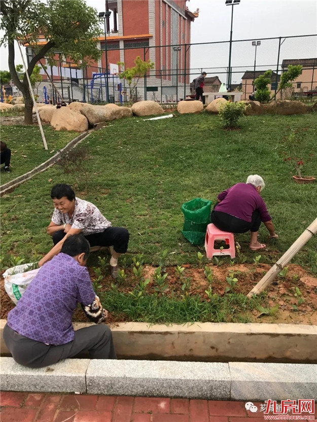 乡村振兴正当时 奋发有为立潮头——九房网