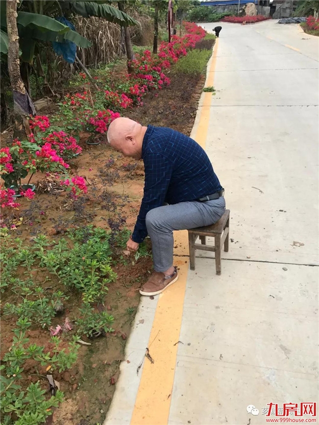 乡村振兴正当时 奋发有为立潮头——九房网