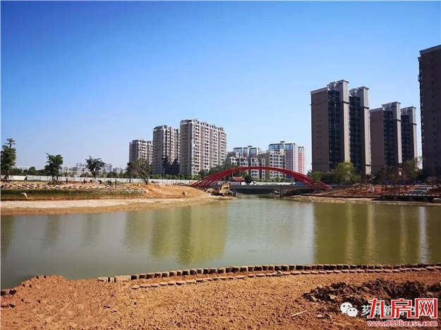 【西部游】西院湖2.0版即将上线！“水下森林”和“枕月桥”了解一下！——九房网